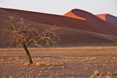 Namibia