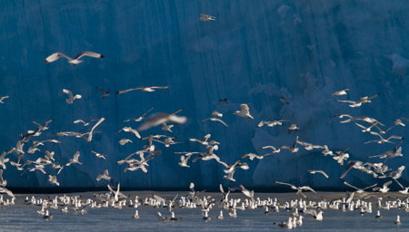 Svalbard